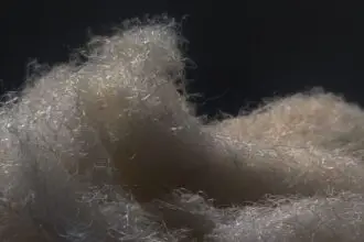 Fashion for Good_and_AltMat