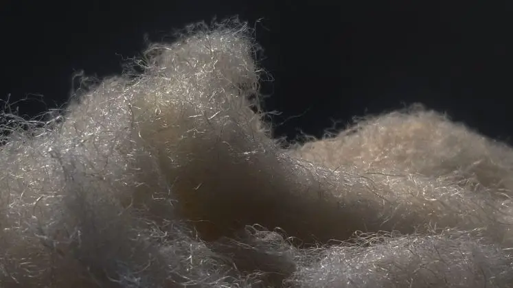 Fashion for Good_and_AltMat