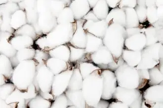 cotton