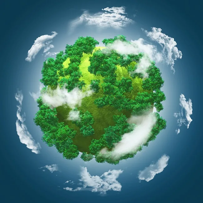 A circular economy means rethinking how we produce, consume, and discard. Instead of a “take–make–waste” linear model, it’s about reuse, recycle, and regenerate.