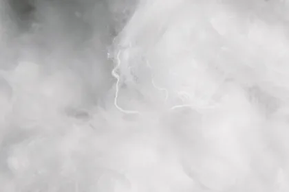 FBJ_Recover_RCotton_Fiber