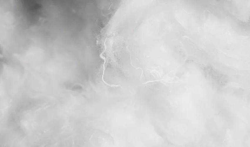 FBJ_Recover_RCotton_Fiber