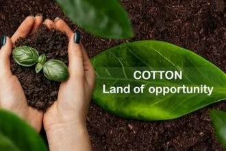 Better Cotton Initiative (BCI)