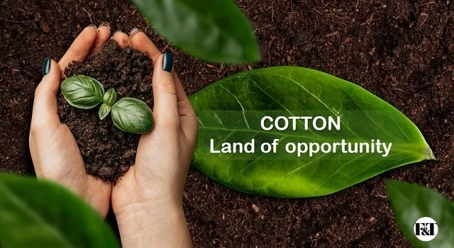 Better Cotton Initiative (BCI)