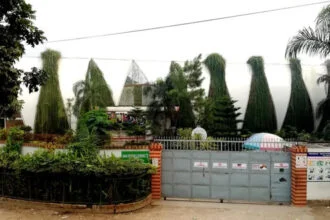 Aman Graphics Powers Bangladesh’s Export Growth in Kids Apparel