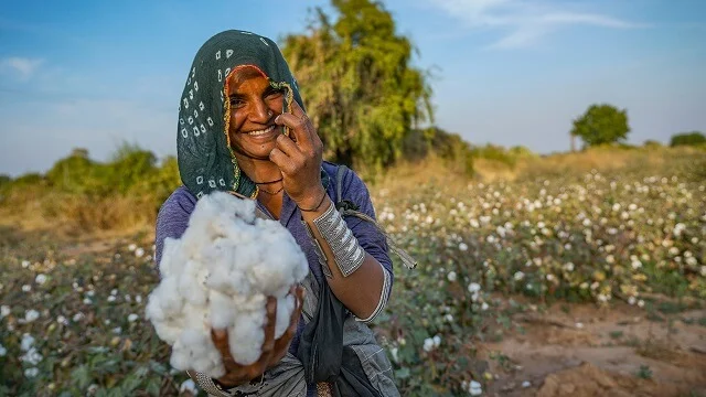 Microsoft Signs Carbon Removal Deal With Varaha for India’s Cotton Farmers