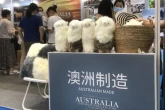 Global Wool Prices Firm on Chinese Demand, Sustainability Push