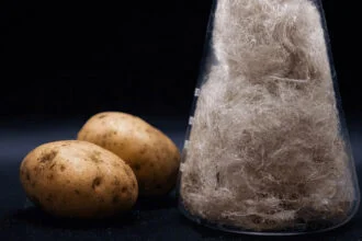 Potato Waste Fiber Emerges as Low-Carbon Cotton Alternative