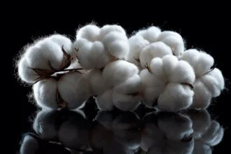 cotton traceability