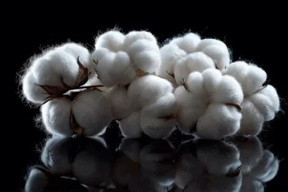 cotton traceability