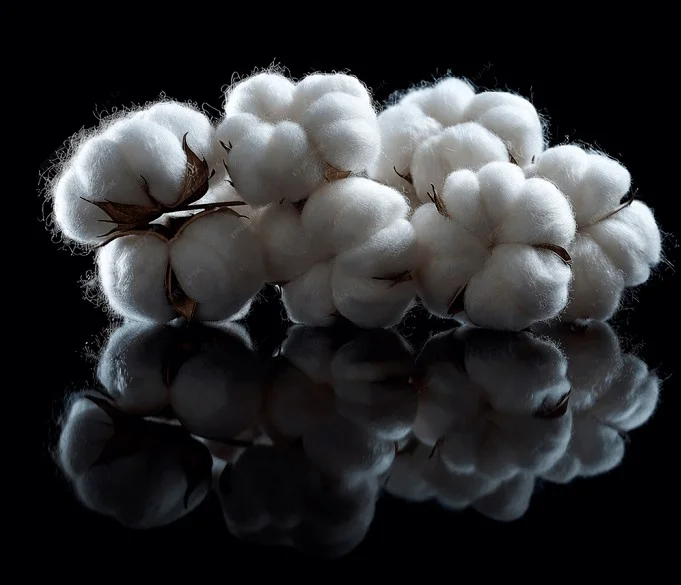 cotton traceability