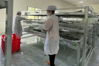 Kraig Biocraft Reels Spider Silk Breakthrough