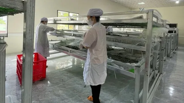 Kraig Biocraft Reels Spider Silk Breakthrough