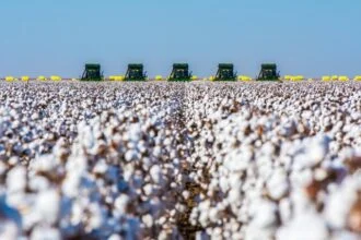 U.S. Cotton Data Points to Farms as Key Sustainability Lever