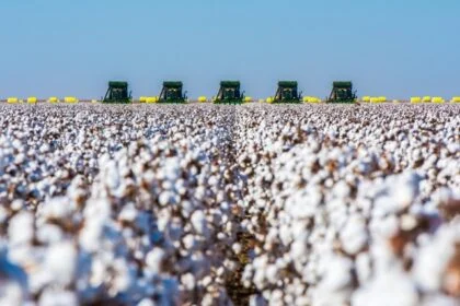 U.S. Cotton Data Points to Farms as Key Sustainability Lever