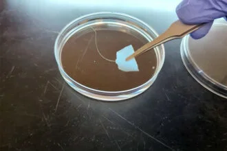 Synthetic Biology Breakthrough Offers Recyclable Alternative to Polyester Textiles