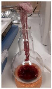 Eco Dye from Prickly Pear Waste