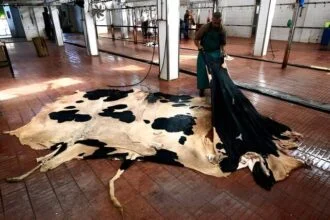 Leather Emissions Doubles Climate Cost