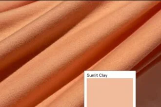 Colorifixs Sunlit Clay, a New Bacteria-Made Dye Colour for Wool